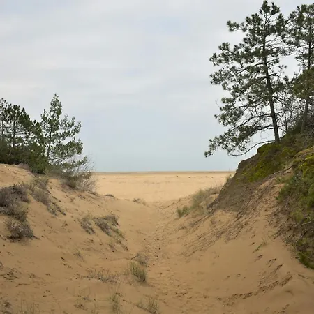 Pretty Duplex For 6 Guests In A Oasis In Lignano Riviera Lignano Sabbiadoro