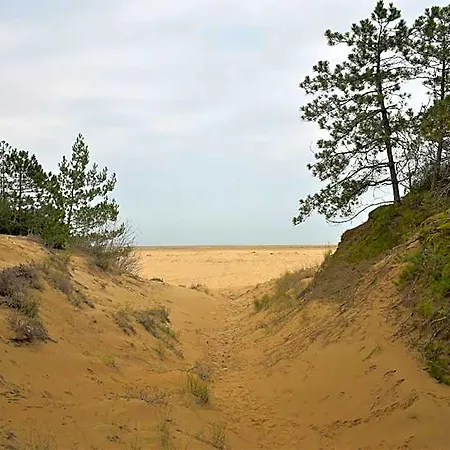 Pretty Duplex For 6 Guests In A Oasis In Lignano Riviera * Lignano Sabbiadoro