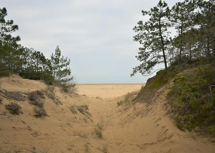 Pretty Duplex For 6 Guests In A Oasis In Lignano Riviera Lignano Sabbiadoro